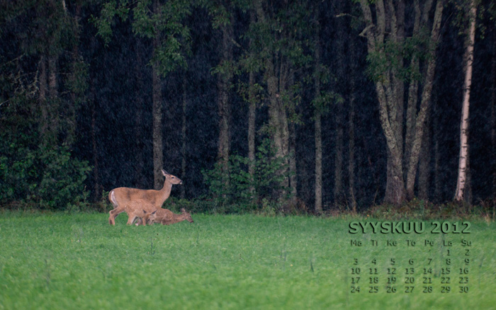 Syyskuu 2012